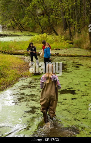 Kids walk in the water with their teacher as they learn about aquatic biology and other environmental education activities at Upham Woods Outdoor Lear Stock Photo