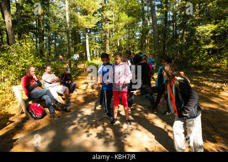 Kids learn team building skills and other environmental education activities at Upham Woods Outdoor Learning Center, a part of the University of Wisco Stock Photo