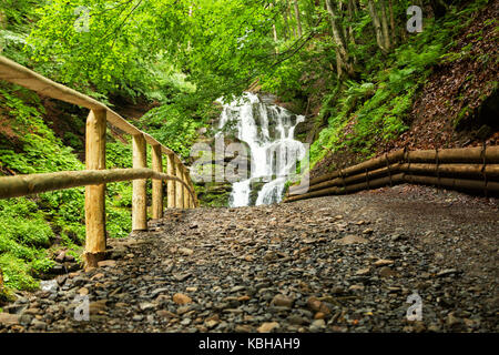 small waterfall of mountain river among the trees Stock Photo