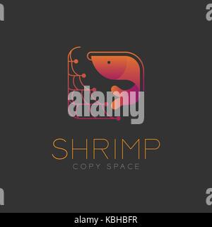 Shrimp symbol icon and fishing net, air bubble set orange violet gradient  color design illustration isolated on dark background with Shrimp text and  c Stock Vector Image & Art - Alamy