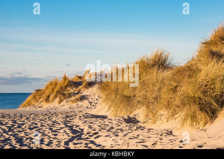 A nudist beach in Warnemuende Stock Photo - Alamy