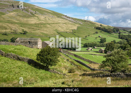 Beautiful countryside around Muker in Swaledale, Yorkshire Dales, England. Featuring the traditional stone barns or 'Cow houses' 'Cow'usses'. Stock Photo