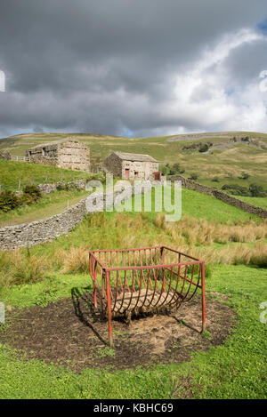 Beautiful countryside around Muker in Swaledale, Yorkshire Dales, England. Featuring the traditional stone barns or 'Cow houses' 'Cow'usses'. Stock Photo