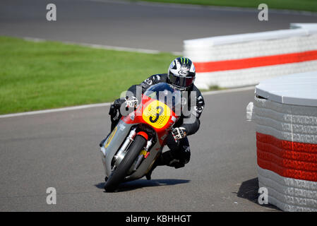 1966 MV Agusta 500/3 owned by Mark Kay ridden by Dunlop racing at Goodwood Revival 2017. Space for copy