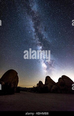 The night sky peppered with thousands of stars and the beautiful Milky Way, which hangs vertically over a Joshua Tree in Joshua Tree National Park. Stock Photo