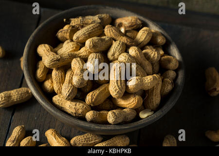 Dry Salted Roasted Shelled Peanuts in a Pile Stock Photo