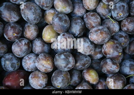 Zwetschgen und Plaumen auf einem Markt - Plums background on Market Stock Photo