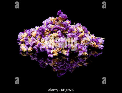 Flower tea. Chinese tea additive for brewing. On a black glossy background with real reflection. Pile of dried flowers Limonium sinuatum, statice, sea Stock Photo
