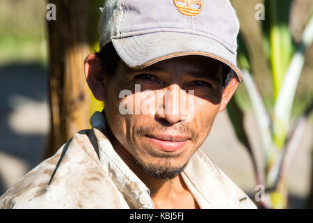 Coffee picker or cafetero at Hacienda Venecia Coffee Farm, Manizales, Colombia Stock Photo