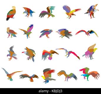 Set of vector colorful  cut out flying and sitting silhouettes of american eagle (white-tailed eagle, bald eagle) on white background Stock Vector