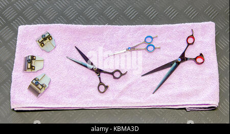 Dog grooming tools and accessories set in salon on a towel Stock Photo