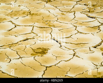 foot paints on dry dirt at swamp in summer no any plant, no any animal cause high temperature Stock Photo