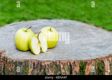 The fresh ripe apples on a wooden stump outdoors. Green background Stock Photo