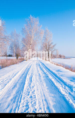 Trees in hoarfrost along winter country road Stock Photo - Alamy