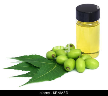 Medicinal neem extract with fruits and leaves over white background Stock Photo