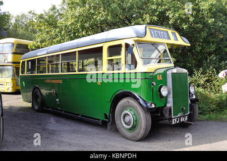 Vintage Bus Leyland Tiger Ts8 With Park Royal Body Stock Photo - Alamy