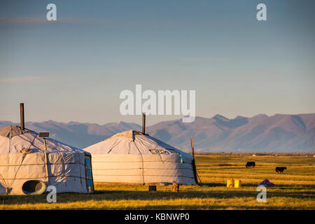 mongolian family gers in a landscape of northern Mongolia Stock Photo