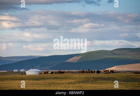 mongolian family gers in a landscape of northern Mongolia Stock Photo