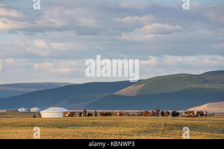 mongolian family gers in a landscape of northern Mongolia Stock Photo