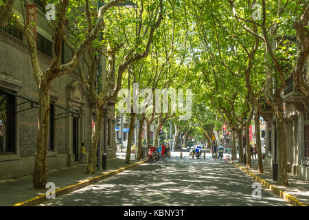 Avenue in French Concession Area, Shanghai, China Stock Photo