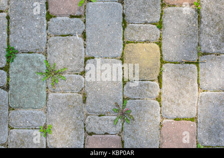 Multicolored Sidewalk Tile Texture. The Texture of Artificial Stone Pavers of Different Colors Stock Photo