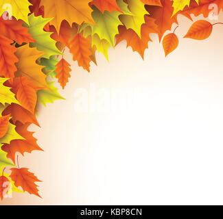 Autumn vector background template. Fall season maple leaves elements with empty blank white space for text. Vector illustration. Stock Vector