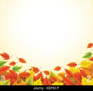 Fall background for autumn season with collection of orange and yellow maple leaves falling and with empty or blank space for text. Stock Vector