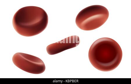 Red human blood cells erythrocytes flowing macro close up 3d realistic medical vector illustration. Isolated various angles on white background art Stock Vector