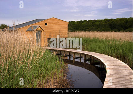 Hide, Gosforth Park Nature Reserve Stock Photo