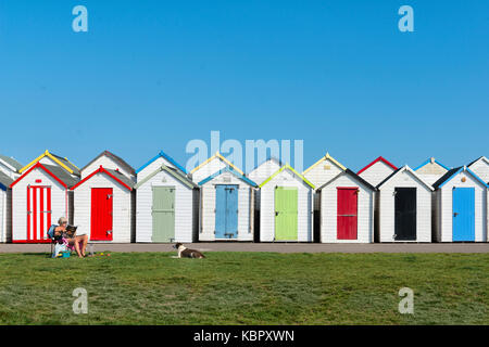 Seated woman relaxes and reads a magazine in front of a colourful row beach huts with pet dog at Paignton, Devon UK on a hot sunny summer's day. Stock Photo