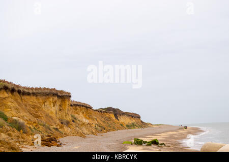 Tidal erosion of the sediment cliffs and destruction of the coastal path on the Heritage Coast in Suffolk UK with calm water, misty skies stony beach. Stock Photo