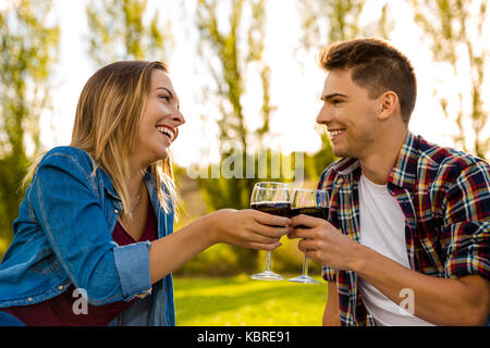 Shot of a beautiful couple on a picnic and making a toast Stock Photo