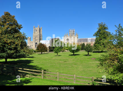 Ely Cathedral (viewed from the park), Cambridgeshire, England, UK Stock Photo