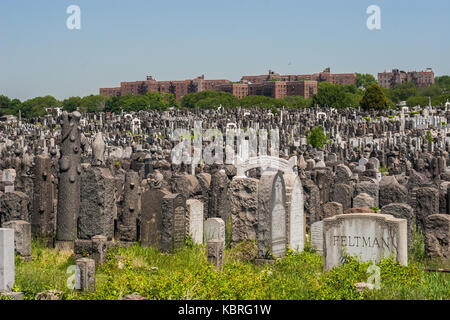 Gravestones at Mount Zion Cemetery in Maspeth, Queens. Stock Photo