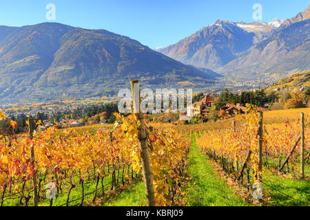 View of Ramez Castle surrounded by vineyards. Ramez Castle, Merano, Val Venosta, Alto Adige/Sudtirol, Italy, Europe Stock Photo