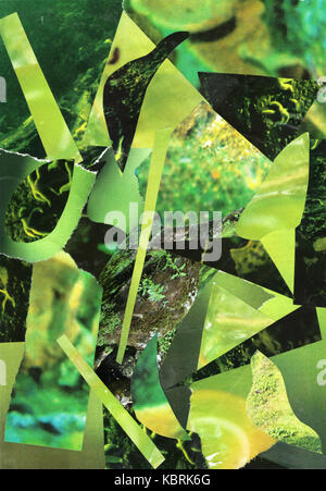abstract green paper collage Stock Photo