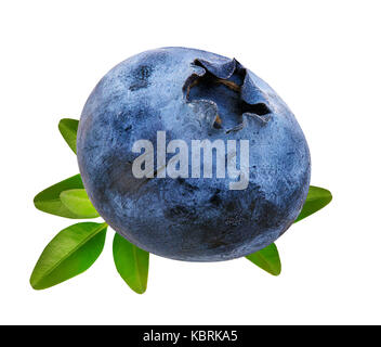 Fresh Bilberries blueberries, isolated on white background Stock Photo