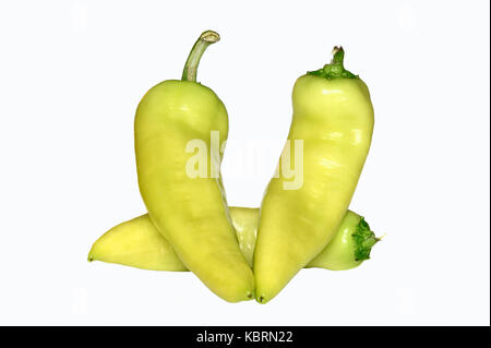 Green Pepper fruits / (Capsicum annuum cultivars) | Gruene Paprikaschoten / (Capsicum annuum cultivars) Stock Photo