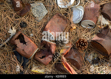 Rusty Old Tin Cans Scattered on Forest Floor Stock Photo