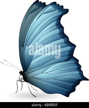 Beautiful butterfly isolated on a white background Stock Vector