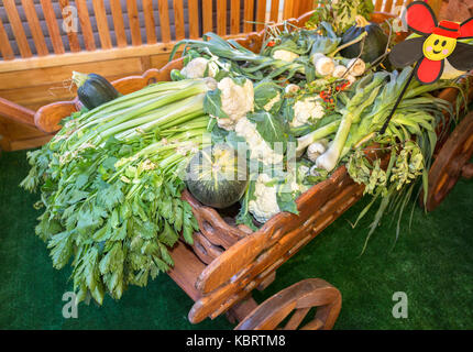 Agriculture harvested various fresh vegetables on the old wooden cart at the farmer market Stock Photo