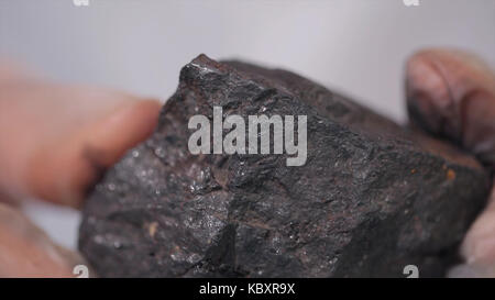 Male hands in gloves holding coal. Scientist with a sample of coal. Black coal in miner's hand Stock Photo