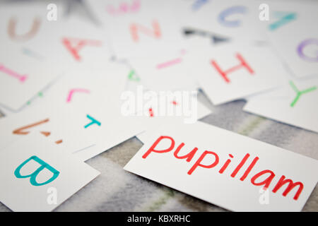Latin; Learning the New Word with the Alphabet Cards (Translation; Apple) Stock Photo