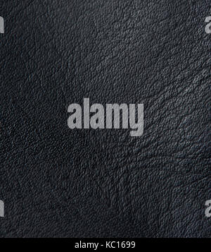 Real animal skin background close-up. Dark leather texture Stock Photo