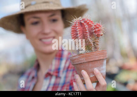 woman gardening cactus Stock Photo