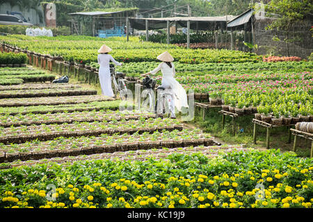 Vietnam, School Girls in Uniform, Saigon, (Ho Chi Minh Stock Photo - Alamy