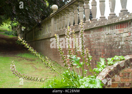 Victorian balustrade on brick wall Stock Photo