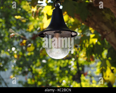 outdoor lamp catching the light with background of backlit green foliage of London Plane tree (Platanus × acerifolia) inTuscany Italy Stock Photo