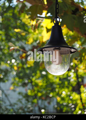 outdoor lamp catching the light with background of backlit green foliage of London Plane tree (Platanus × acerifolia) inTuscany Italy Stock Photo