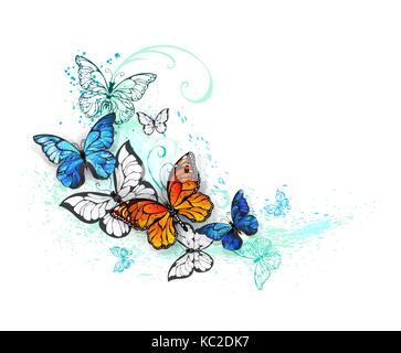 Realistic butterflies, blue Morpho and orange monarchs on a white background, painted with green and blue paint. Morpho. Monarch butterfly. Design wit Stock Vector